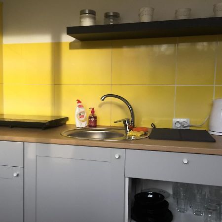 Apartamenti Zirnis Cēsis Extérieur photo