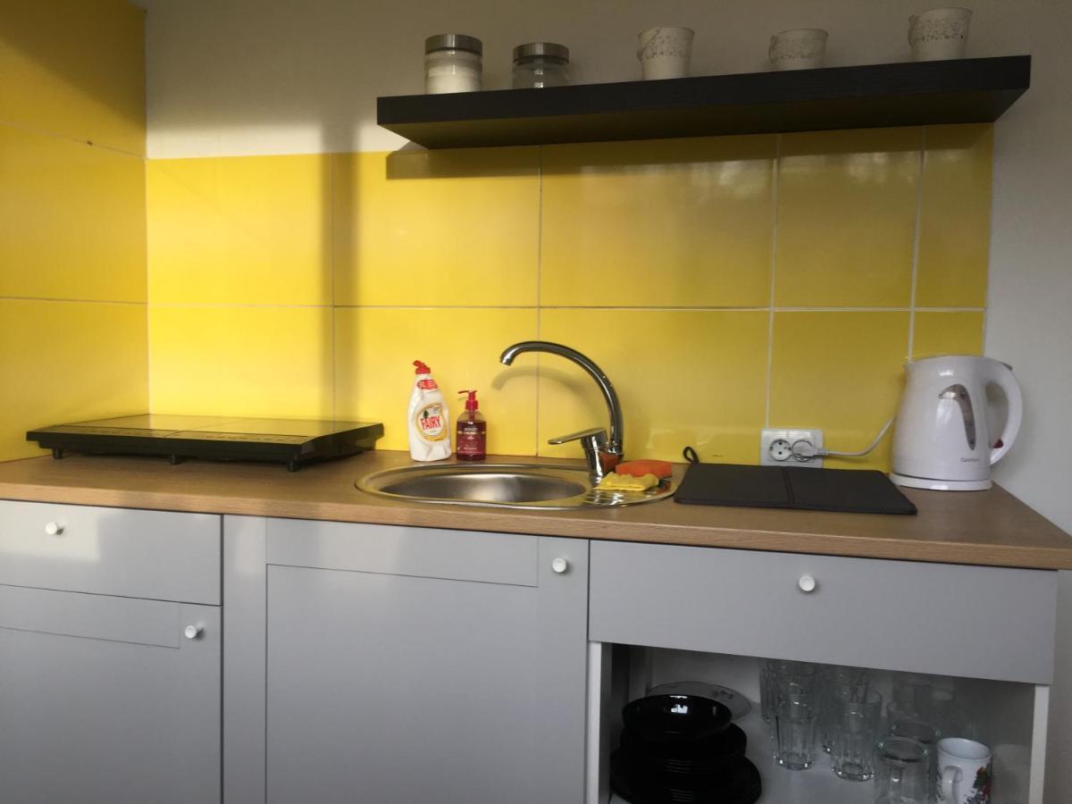 Apartamenti Zirnis Cēsis Extérieur photo